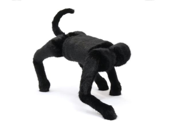 Brad Nath, Dog (carbon), 2023 