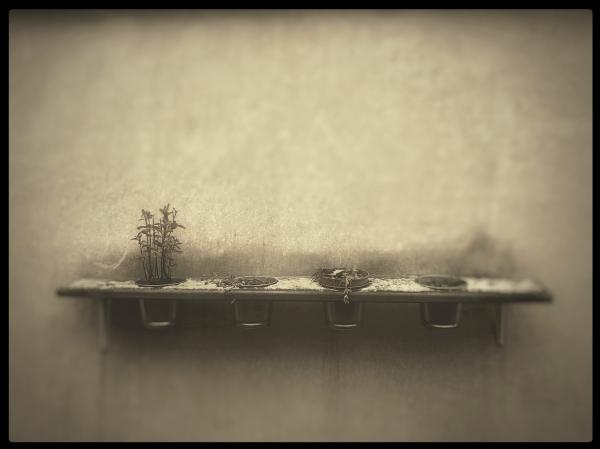 what’s seen / Mikołaj Grynberg