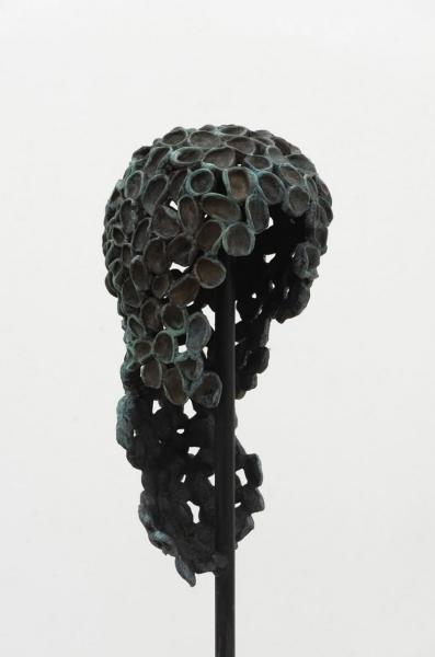 Screenshot 2026-01-20 at 17.51.35