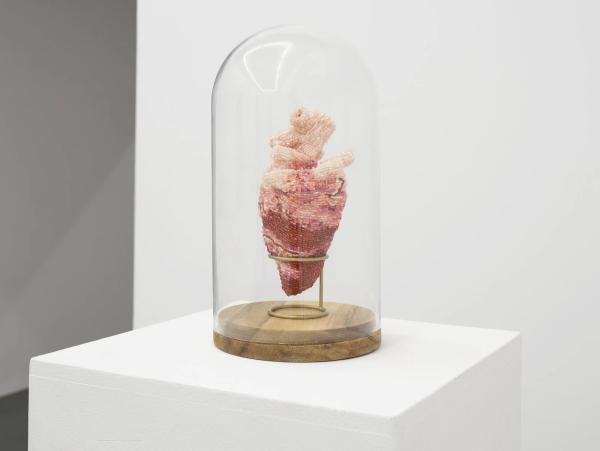 Screenshot 2026-02-25 at 17.47.23