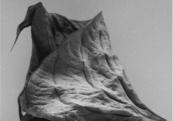 Screenshot 2026-03-10 at 19.39.08