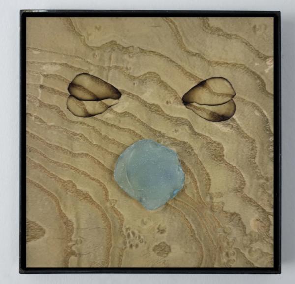 Opening of Liliana Zeic’s exhibition Bladderwrack returns to the Baltic