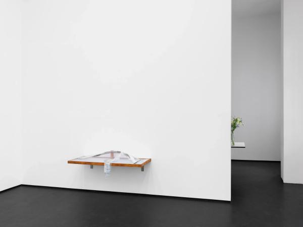 Diane Severin Nguyen × Linda Lach