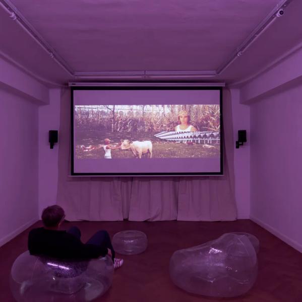 Afterimages / Alice Bucknell, Maia Naveriani, Echo Seireeni