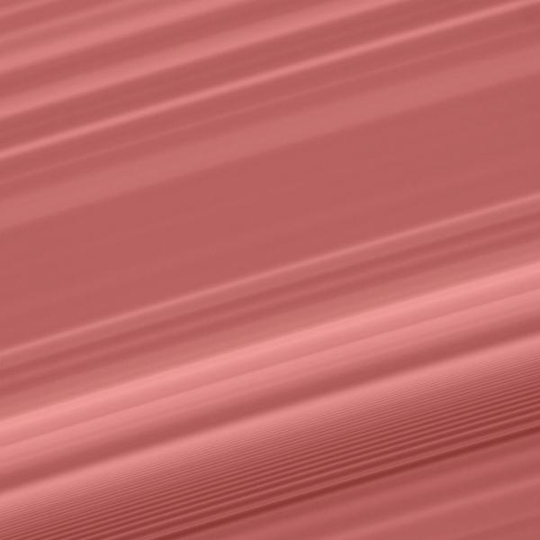 Alan Charlton, Melissa Kretschmer, Sol LeWitt, Thomas Ruff, Zbigniew Rybczyński