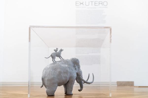 Ex Utero 