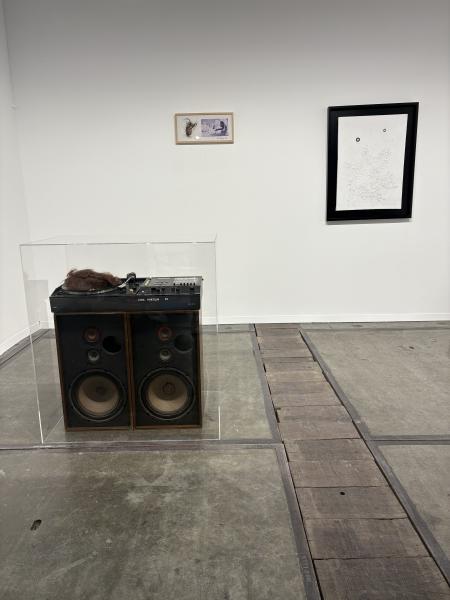 Ewa Partum & Fluxus